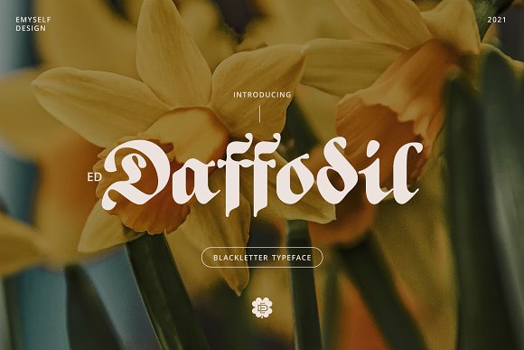 ED Daffodil