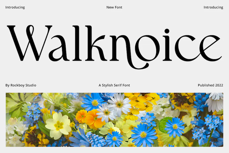 Walknoice