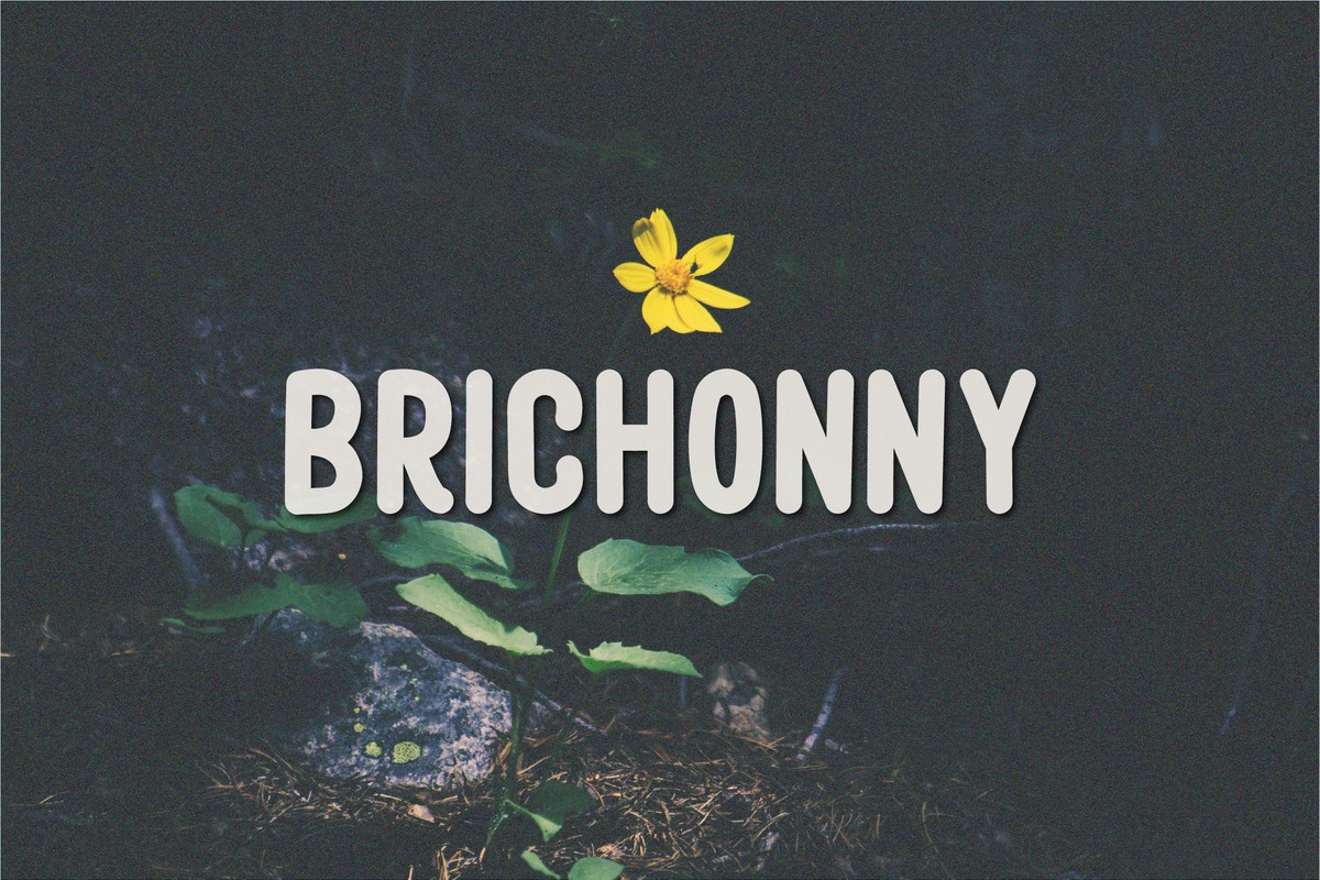 Brichonny